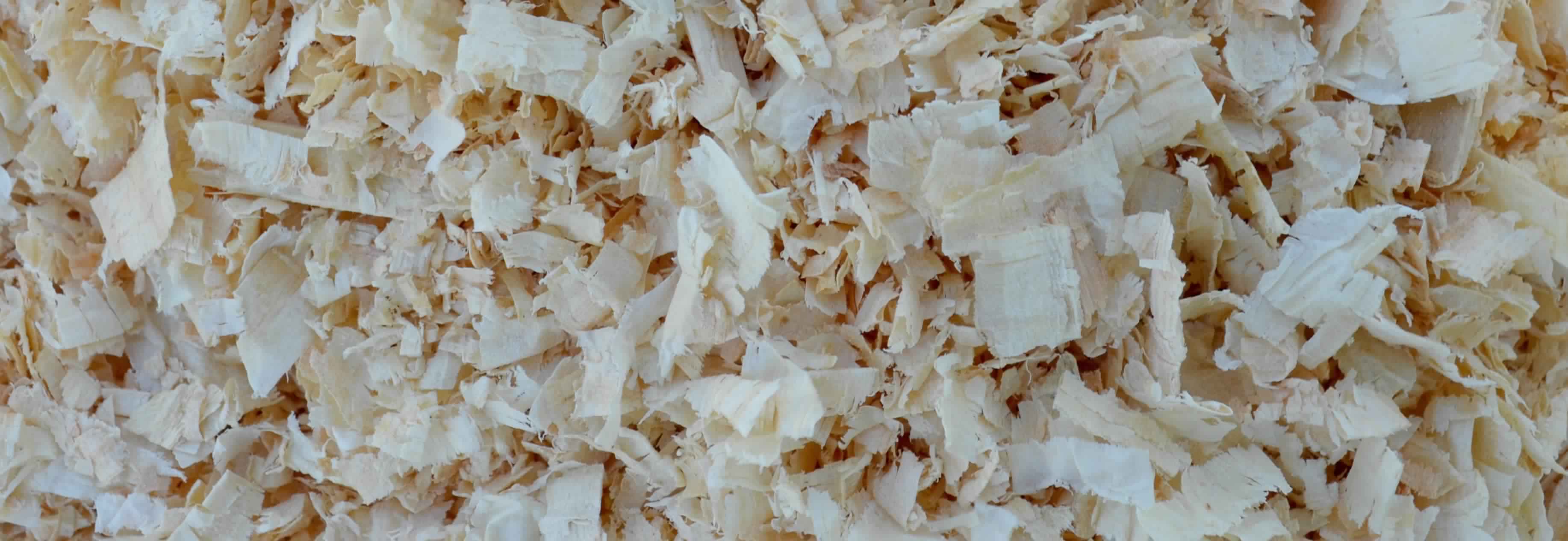 palette en bois tunisie